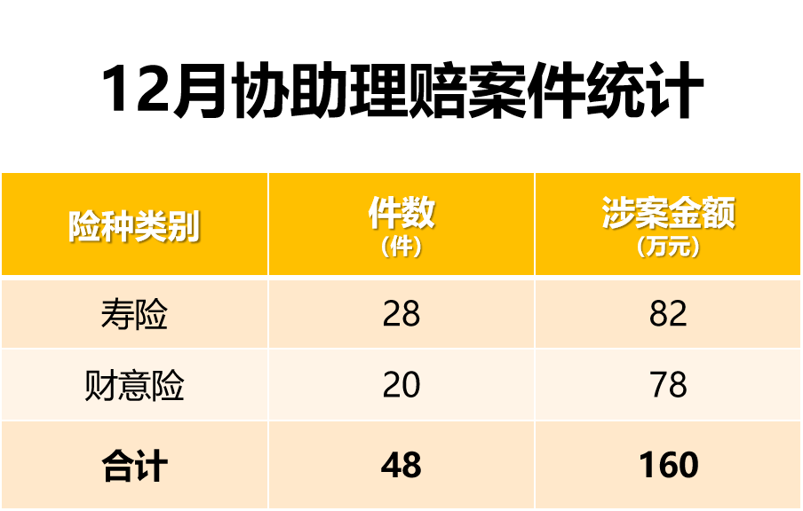 嘉诚保险服务2024年12月理赔数据