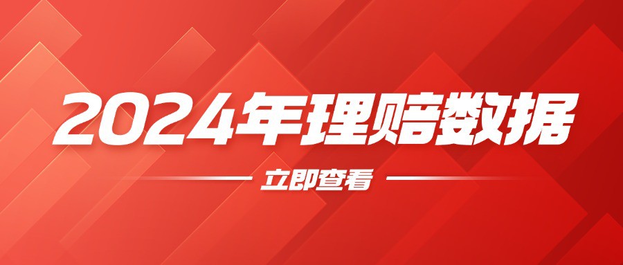 嘉诚保险服务2024年理赔数据